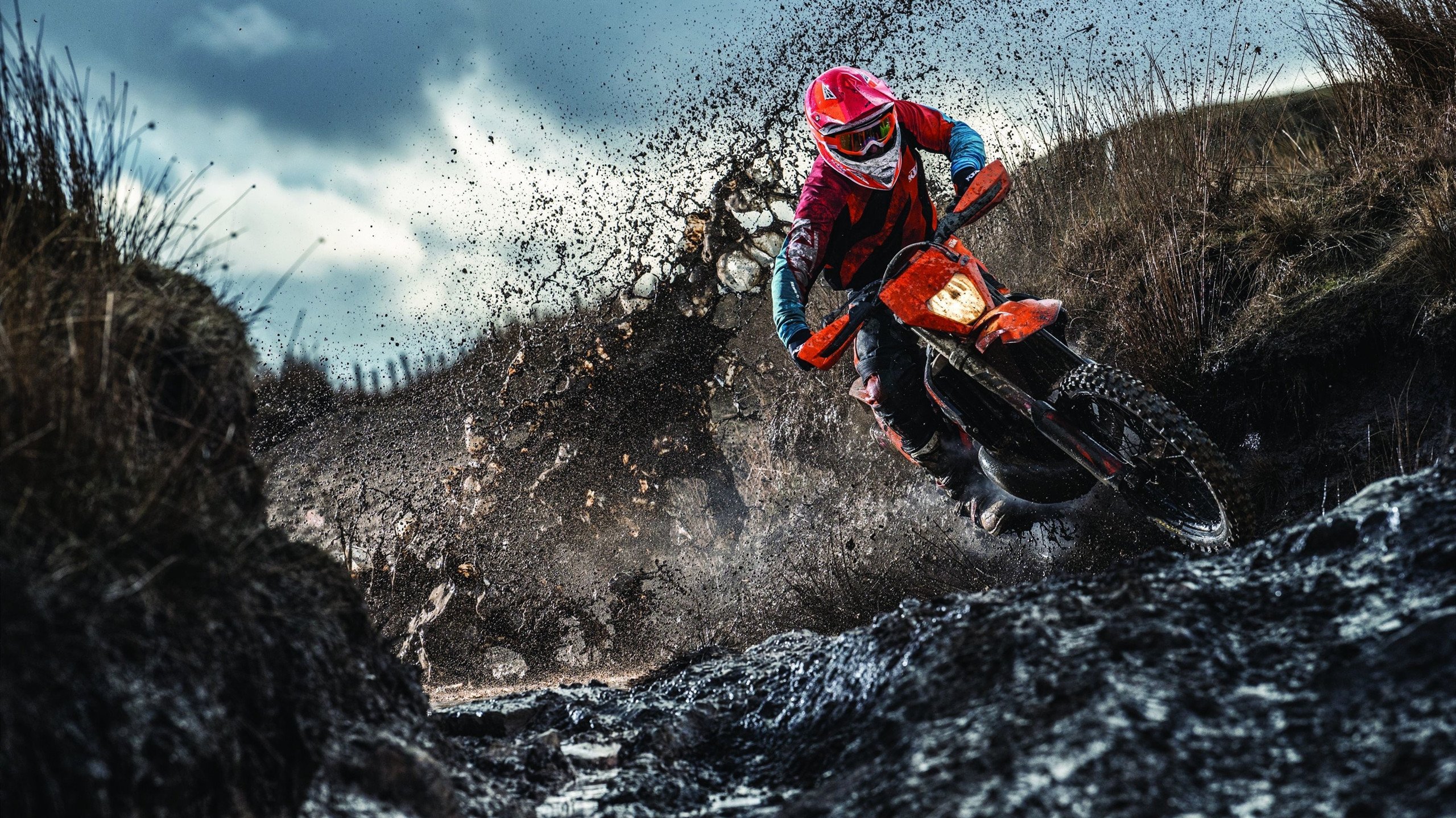 仰泳选手状态正佳助比利时夺分，仰泳决赛什么一战